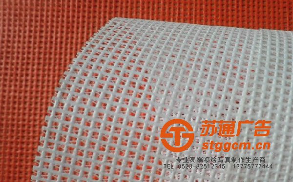 大眼网格布,泰州大眼网格布厂家,姜堰大眼网格布供应商,兴化大眼网格布加工,江苏大眼网格布价格
