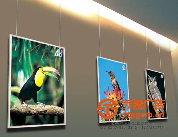 <a href='http://www.stggcm.cn' target='_blank'><u>喷绘</u></a><a href='http://www.stggcm.cn' target='_blank'><u>写真</u></a>印刷，<a href='http://www.stggcm.cn' target='_blank'><u>喷绘</u></a><a href='http://www.stggcm.cn' target='_blank'><u>写真</u></a>广告，<a href='http://www.stggcm.cn/list_39_1.html' target='_blank'><u>喷绘写真设计</u></a>，<a href='http://www.stggcm.cn/list_36_1.html' target='_blank'><u>喷绘写真报价</u></a>，<a href='http://www.stggcm.cn/list_48_1.html' target='_blank'><u>喷绘写真尺寸</u></a>_http://www.stggcm.cn/